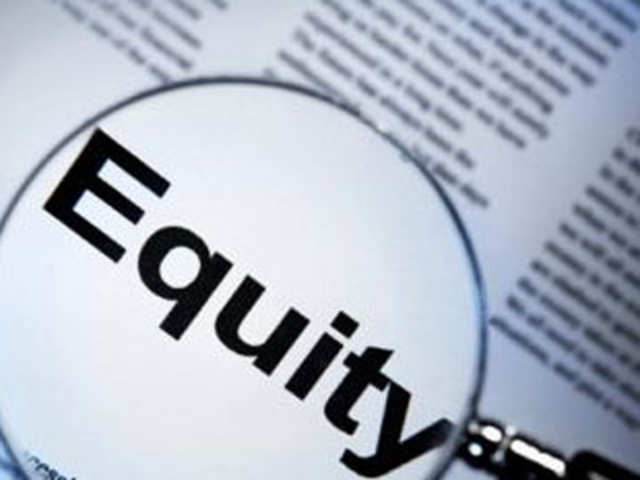 Equity Investor