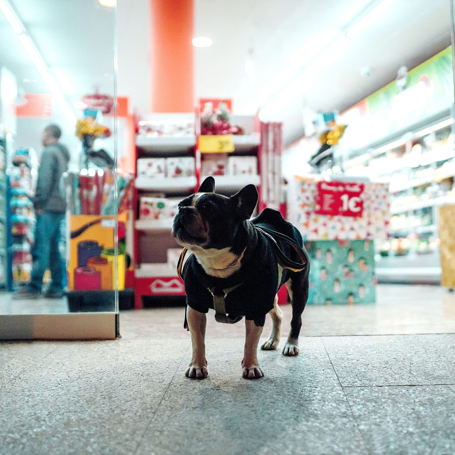 List of Pet Shops UK Marketing Management Ltd